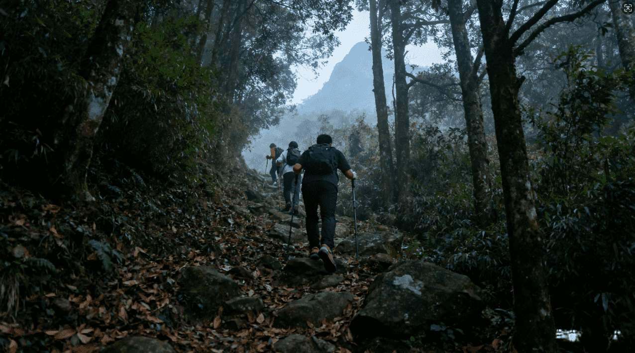 探索像袋鼠一样飞驰的免费加速器方法
